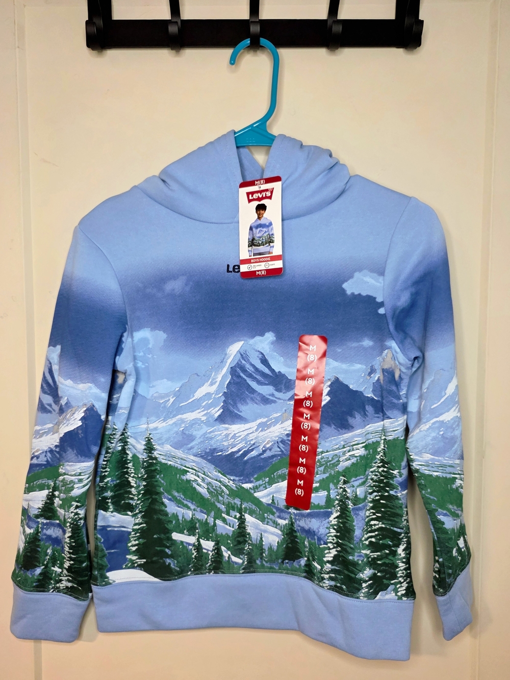 Levi's - Light Blue Mountain & Forest Boys' Hoodie